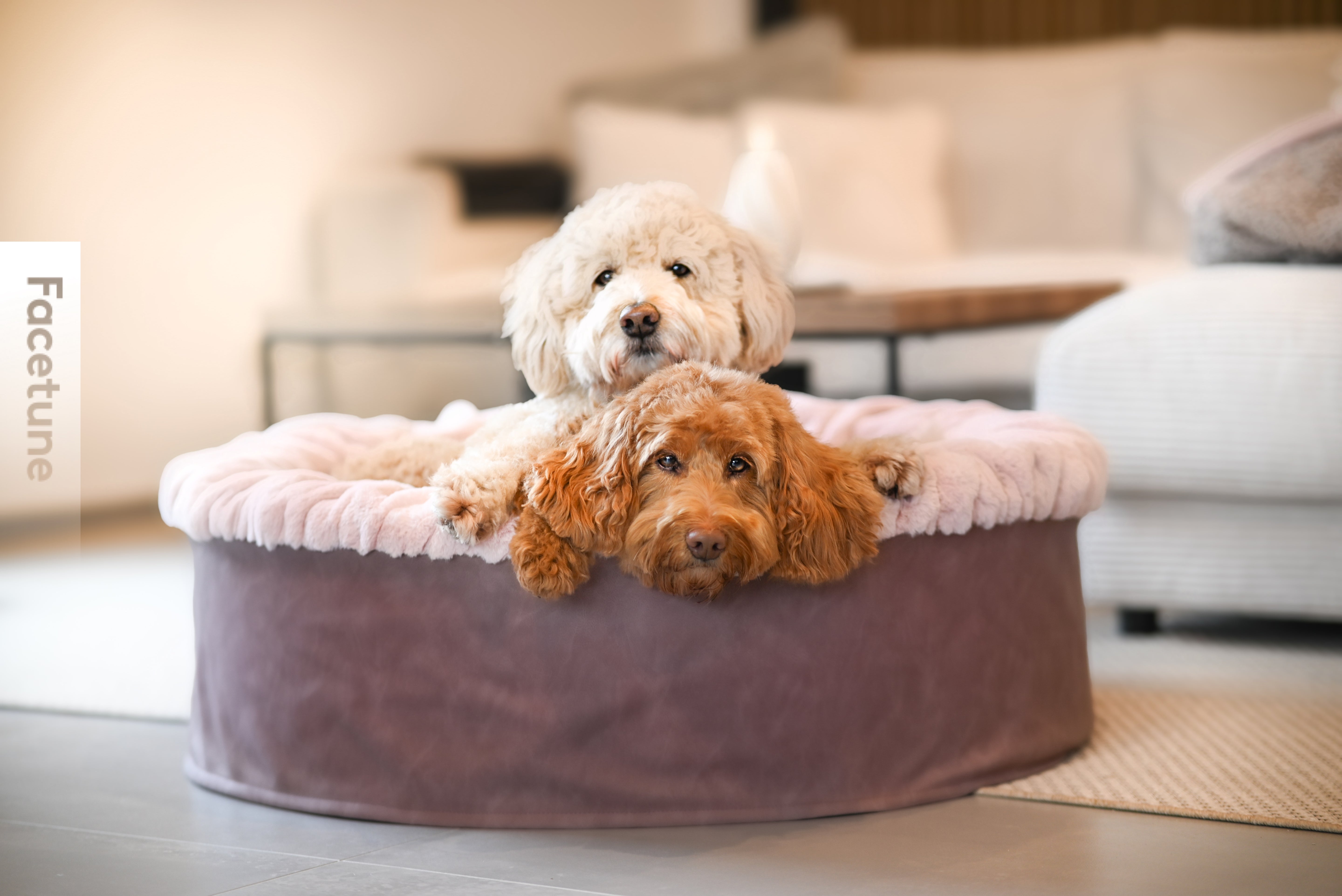 Hundebett Buddelnest®