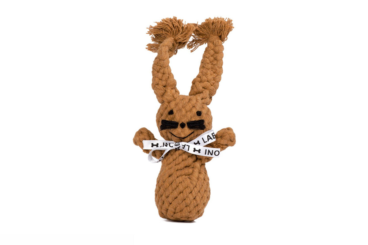 Hundespielzeug Heinrich Hase