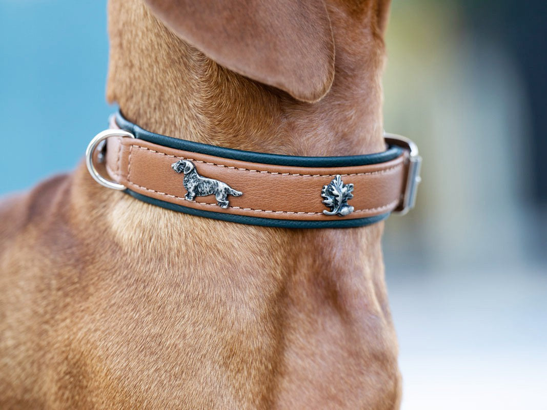 Halsband Dackel
