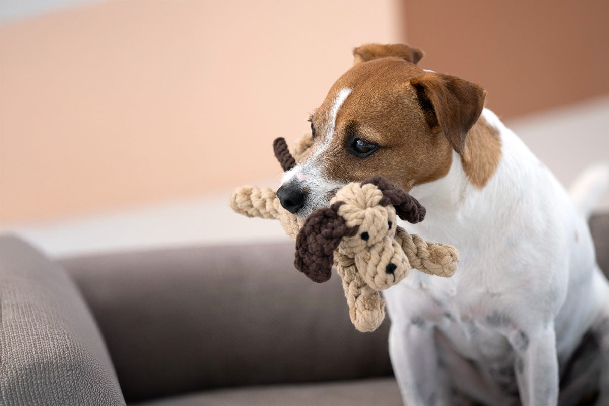 Hundespielzeug Doggy Dog