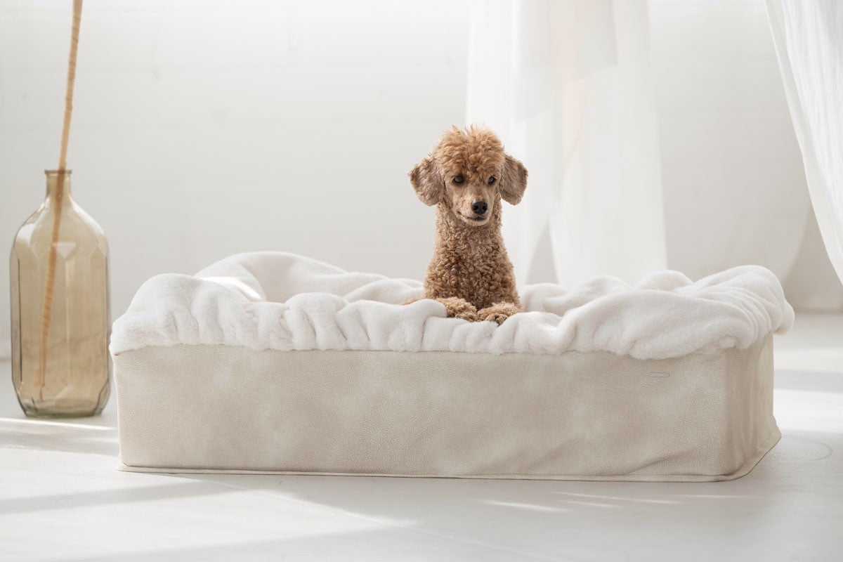 Hundebett Buddelbox®