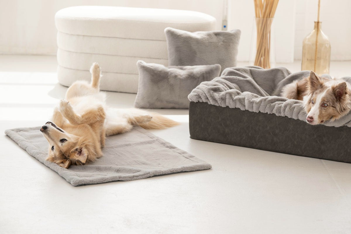 Hundebett Buddelbox®