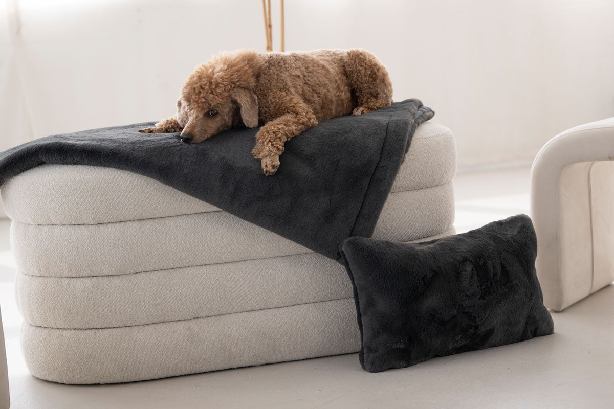Hundedecke Webpelz