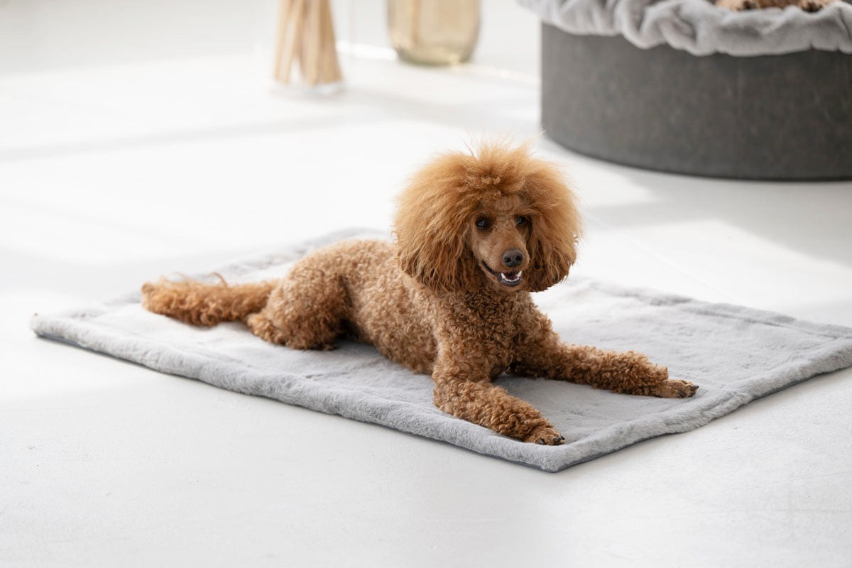 Hundedecke Webpelz