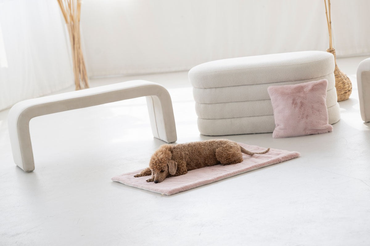Hundedecke Webpelz