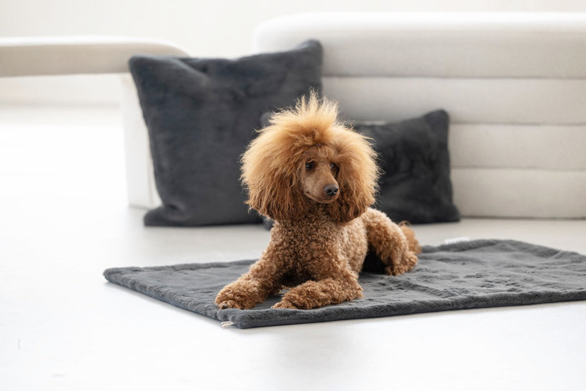 Hundedecke Webpelz