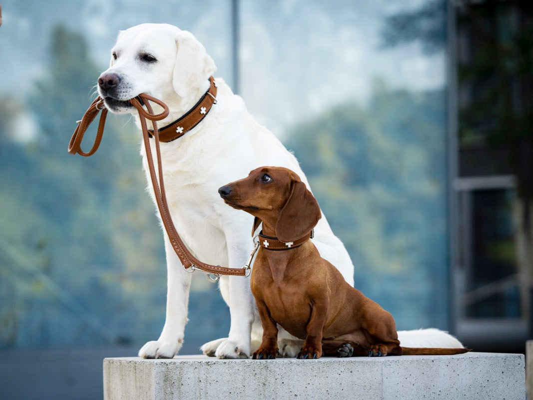 Lederleine Rundgenäht 2m Silber