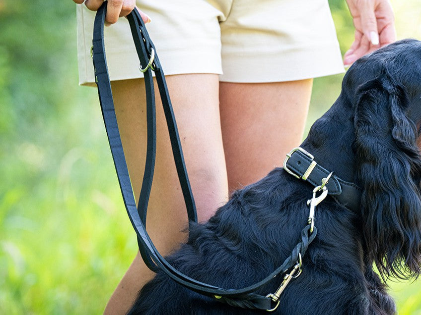 Lederleine Klassik 3m