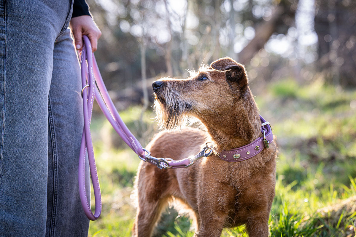 Lederleine Rundgenäht 2m Silber