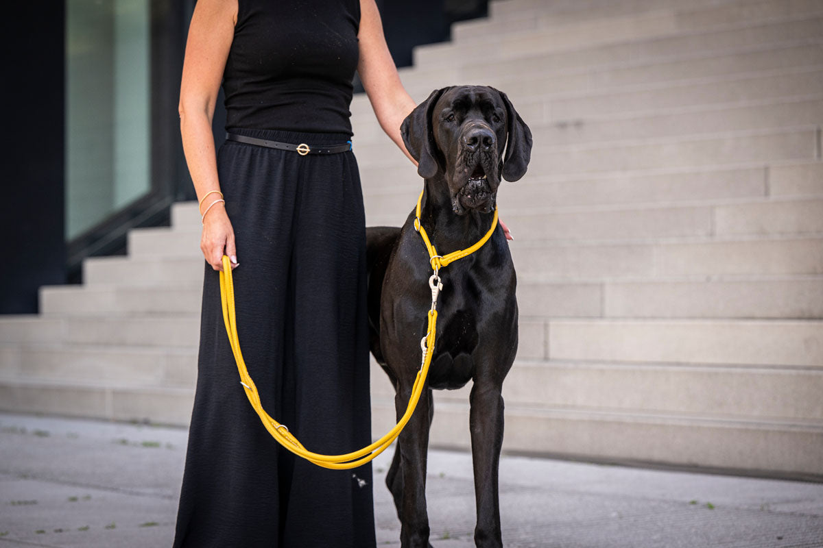 Halsband Rundgenäht Silber
