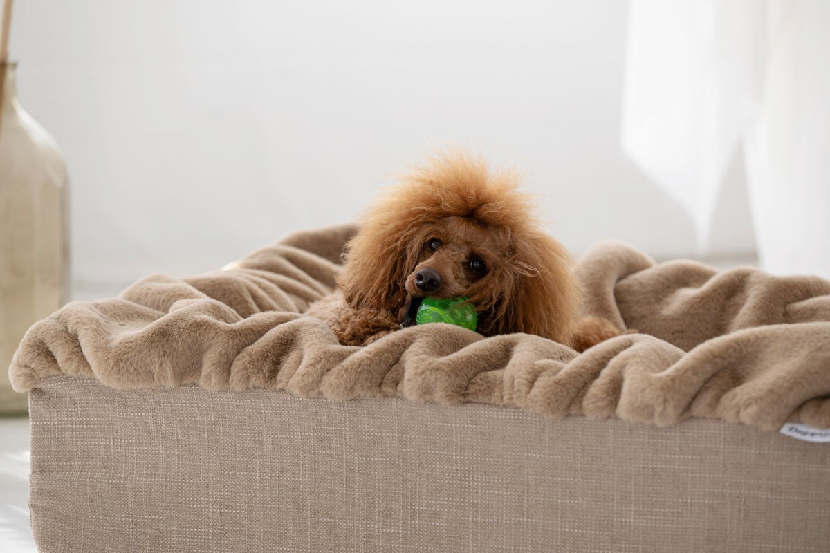 Hundebett Buddelbox®