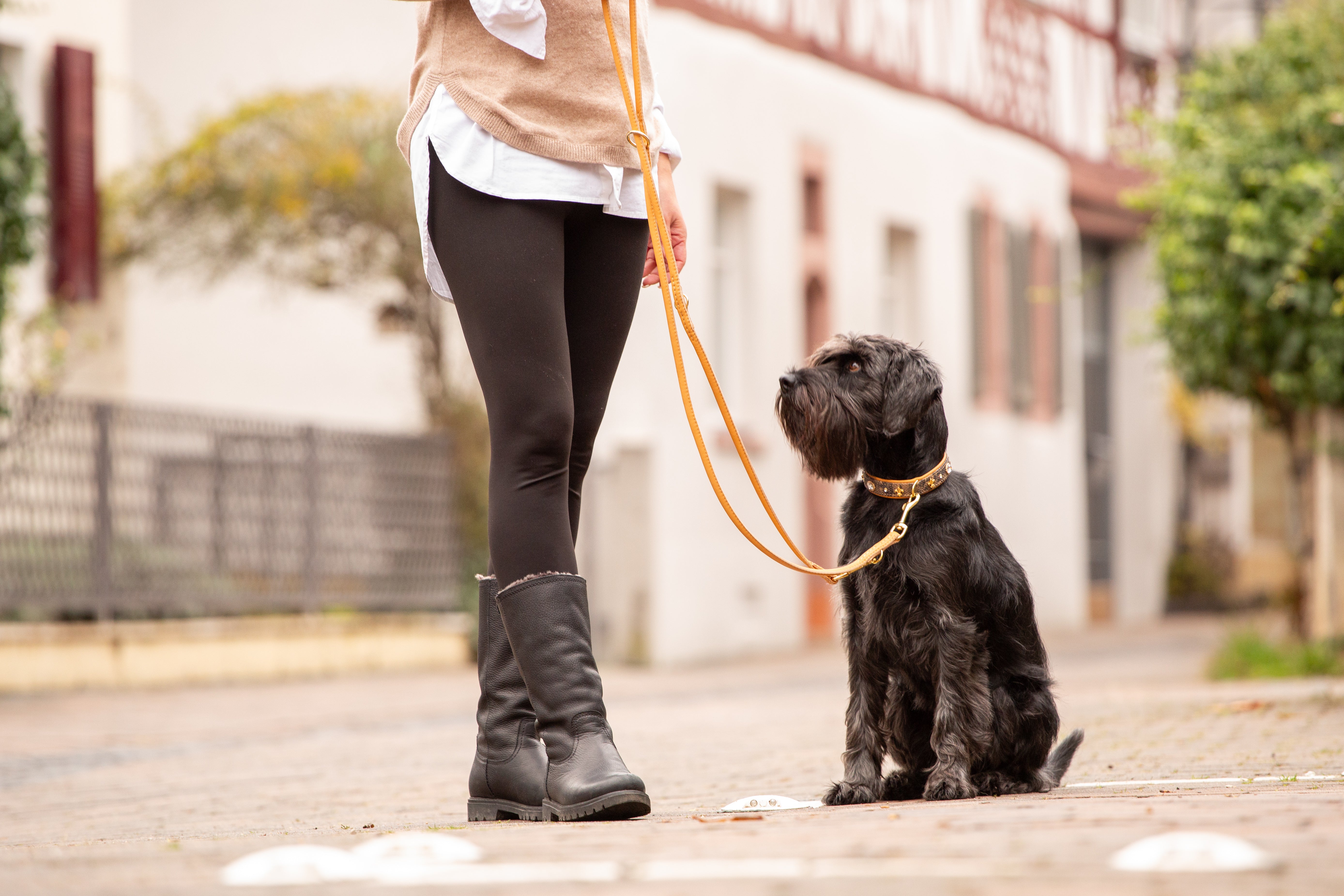Lederleine Rundgenäht 2m Gold