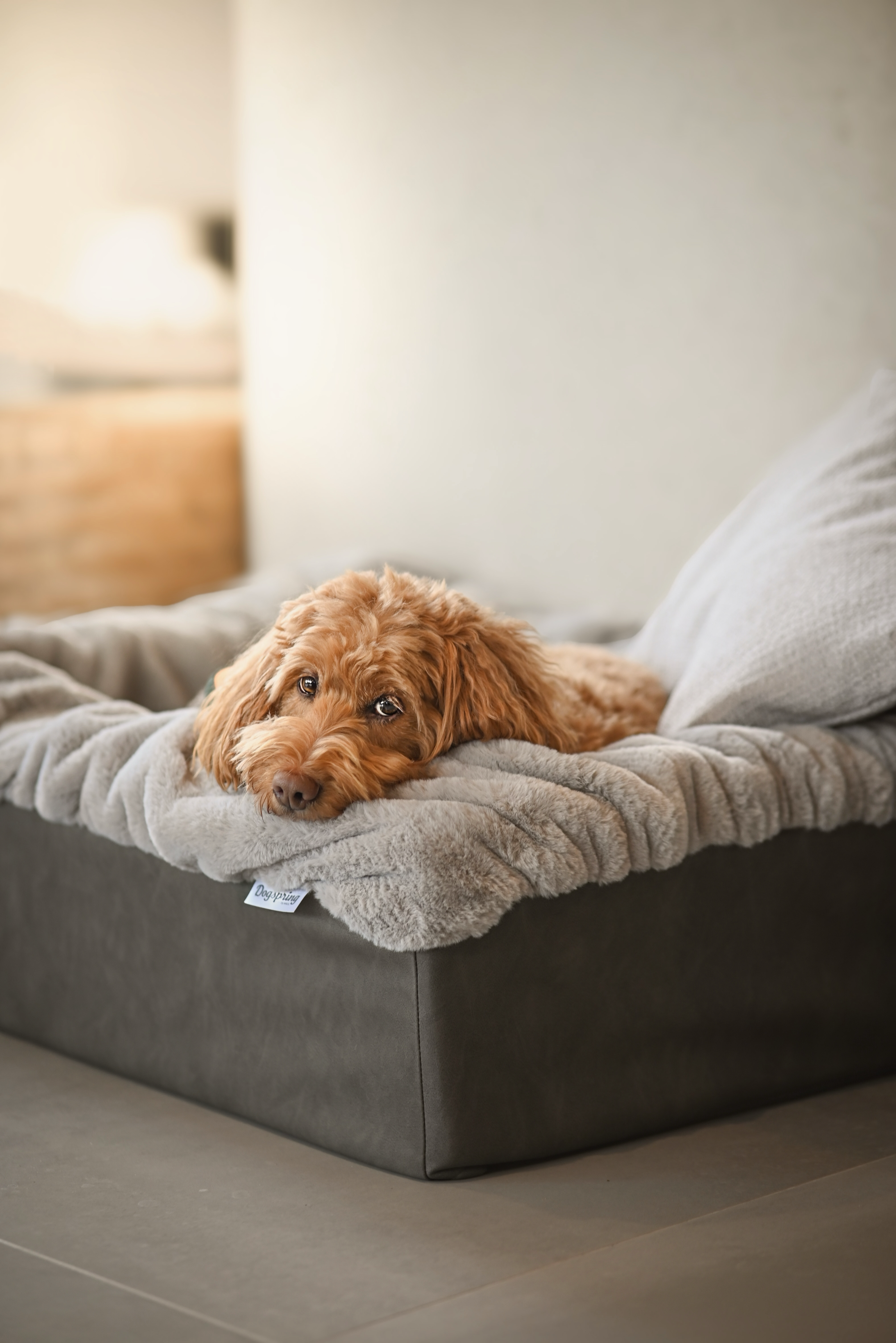 Hundebett Buddelbox®