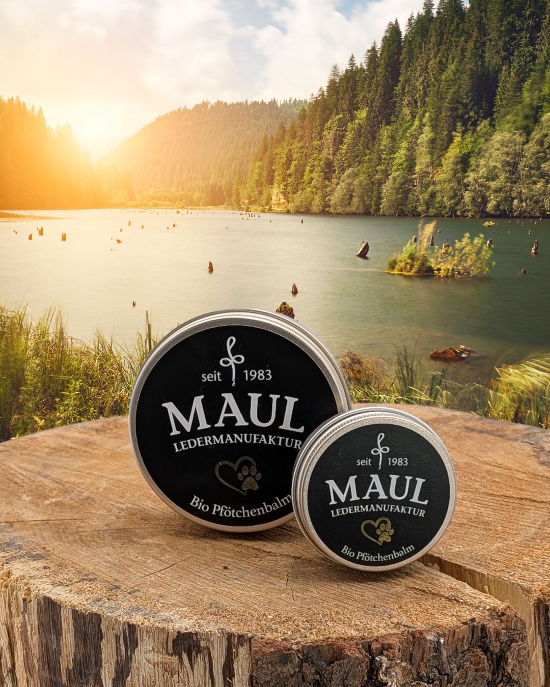 MAUL Bio - Pfotenbalm