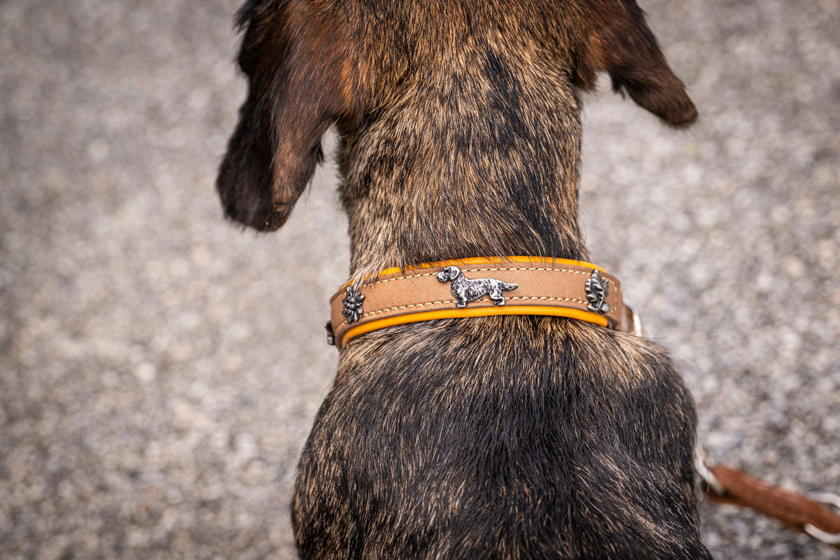 Halsband Premium Dackel