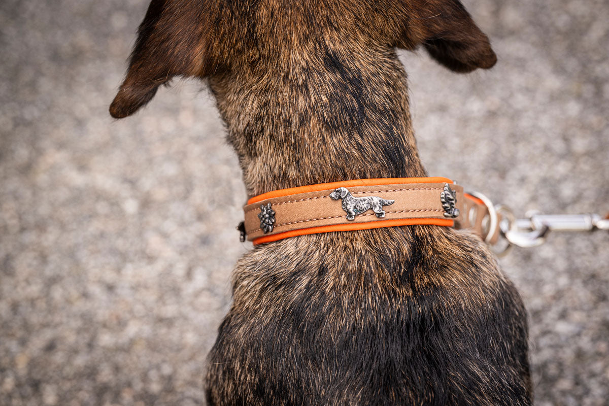 Halsband Premium Dackel