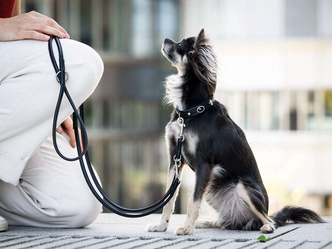 Lederleine Rundgenäht 2m Silber
