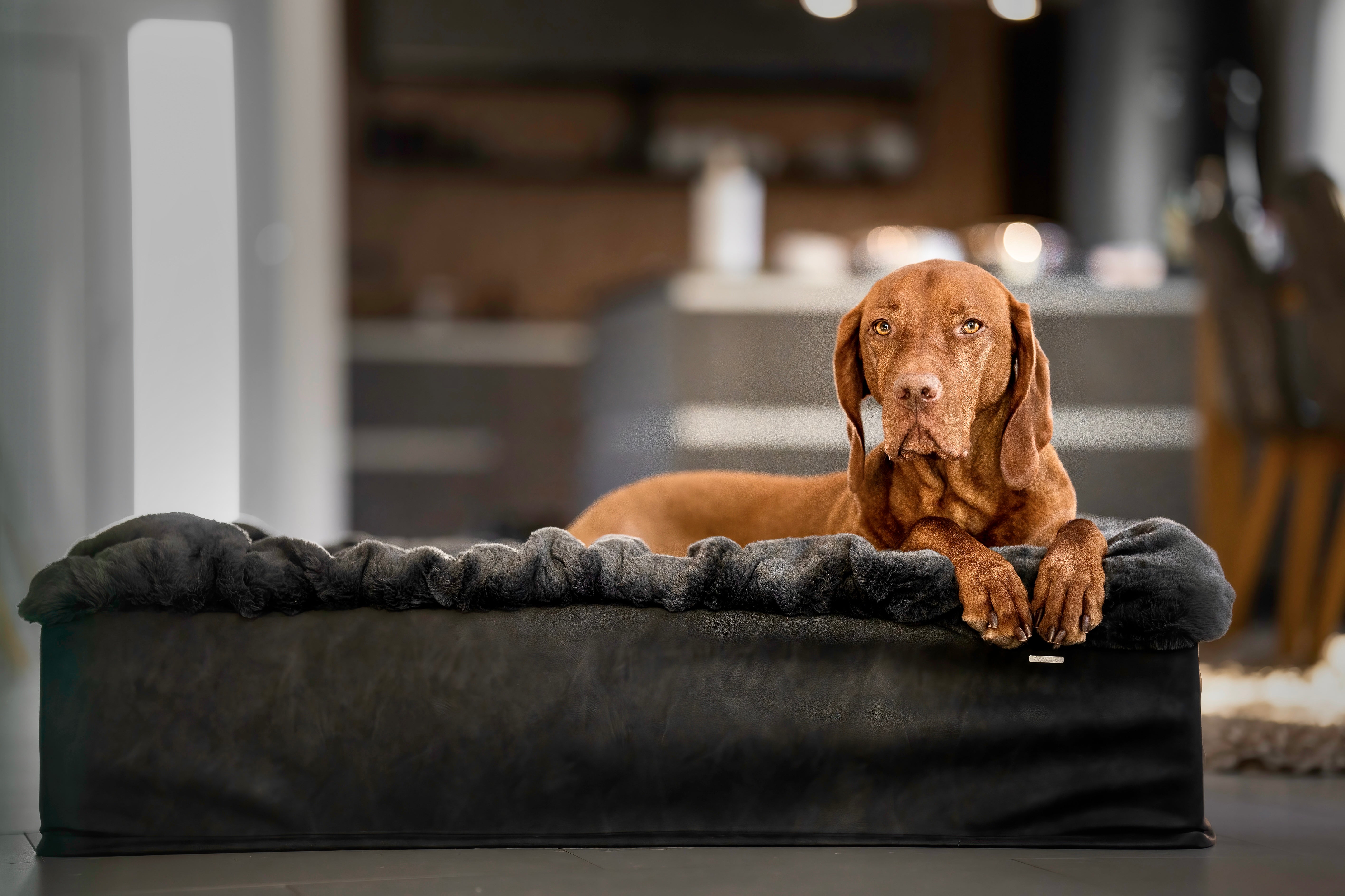 Hundebett Buddelbox®