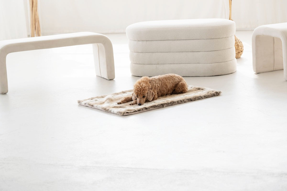 Hundedecke Webpelz