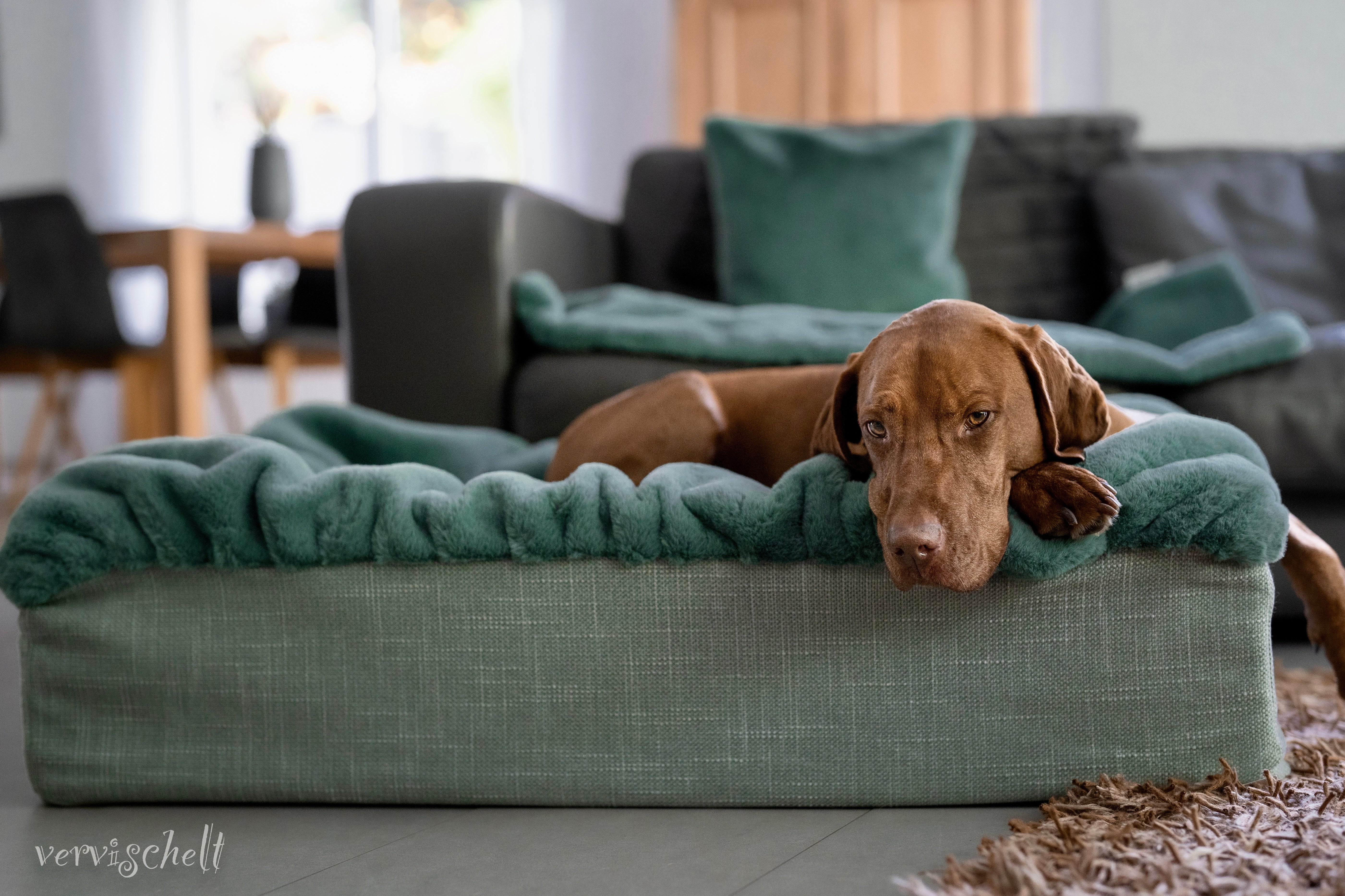 Hundebett Buddelbox®