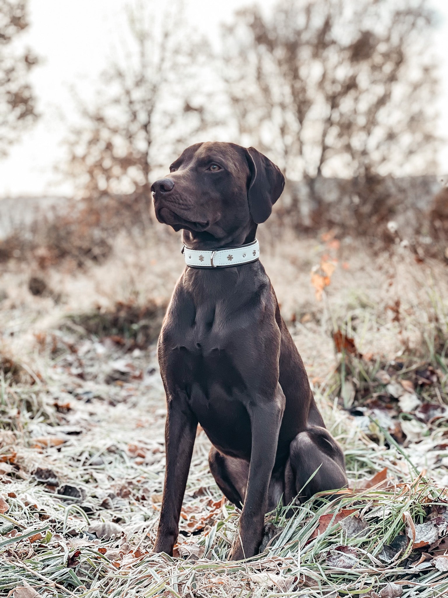 Halsband Winterzauber