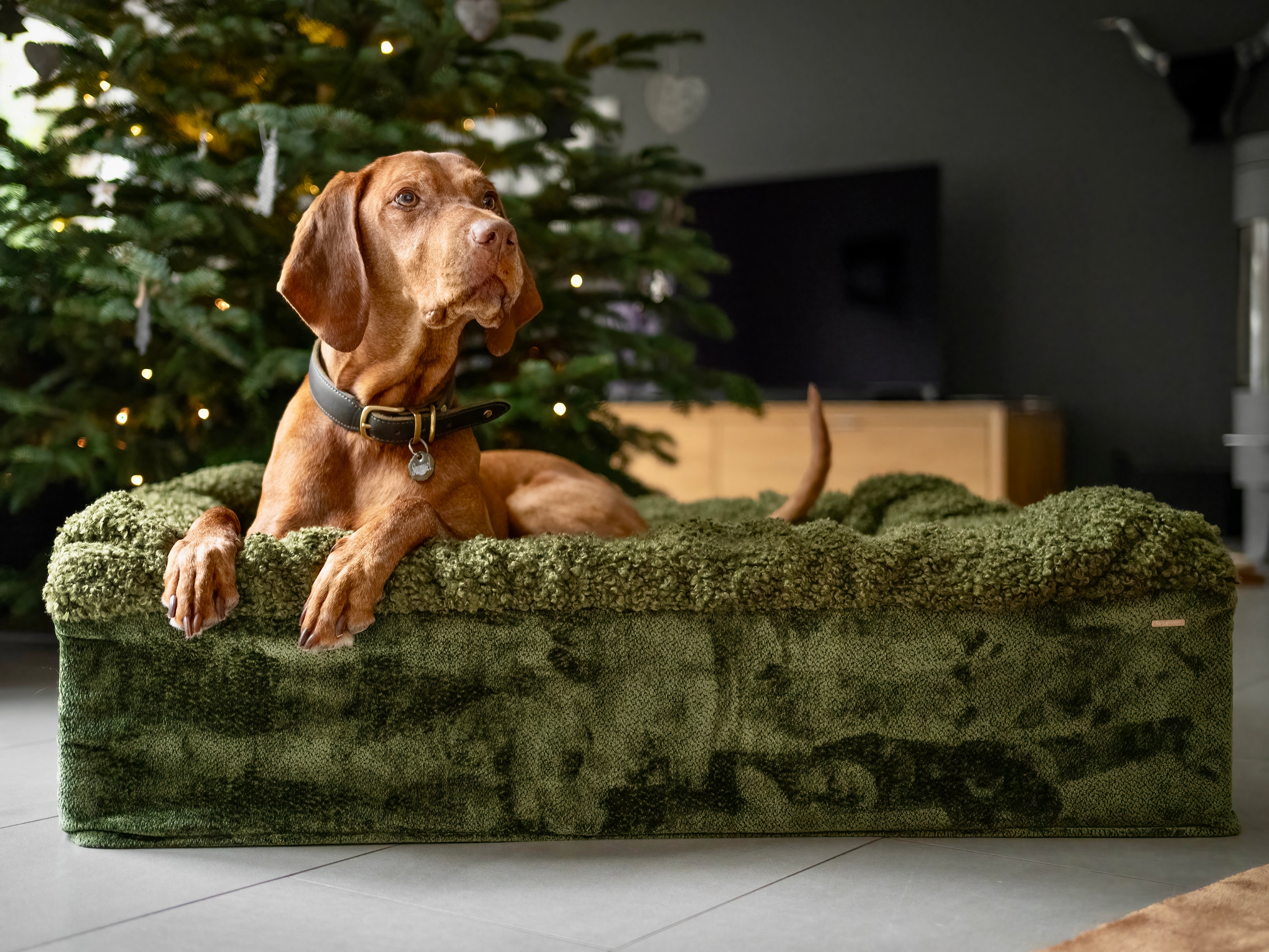 Hundebett Buddelbox®