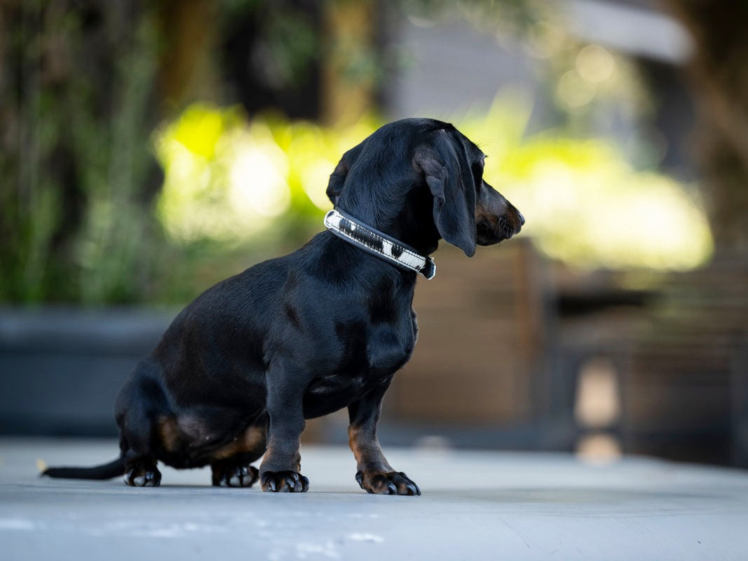 Halsband Mini Kuhfell