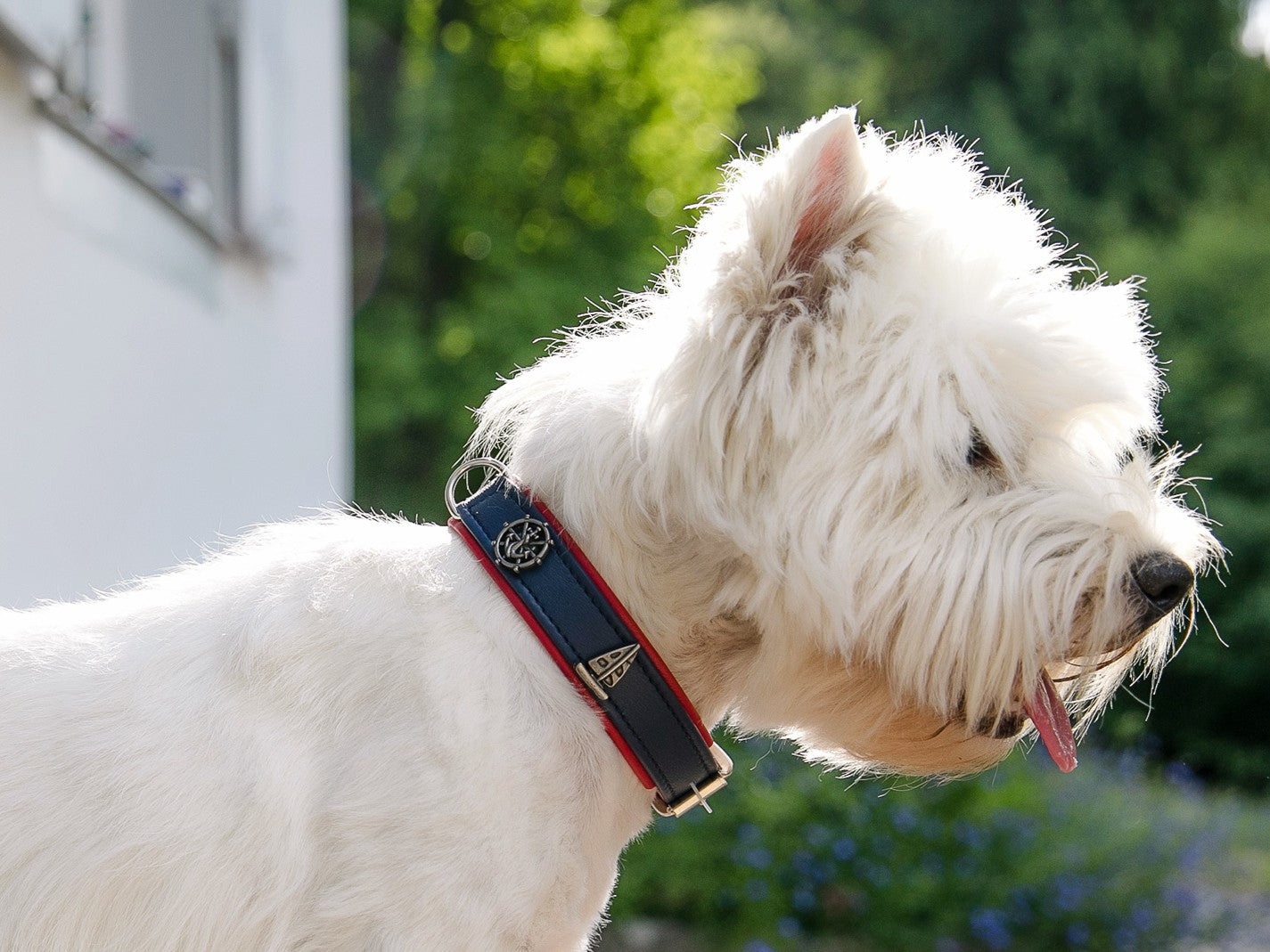 Halsband Nordlicht
