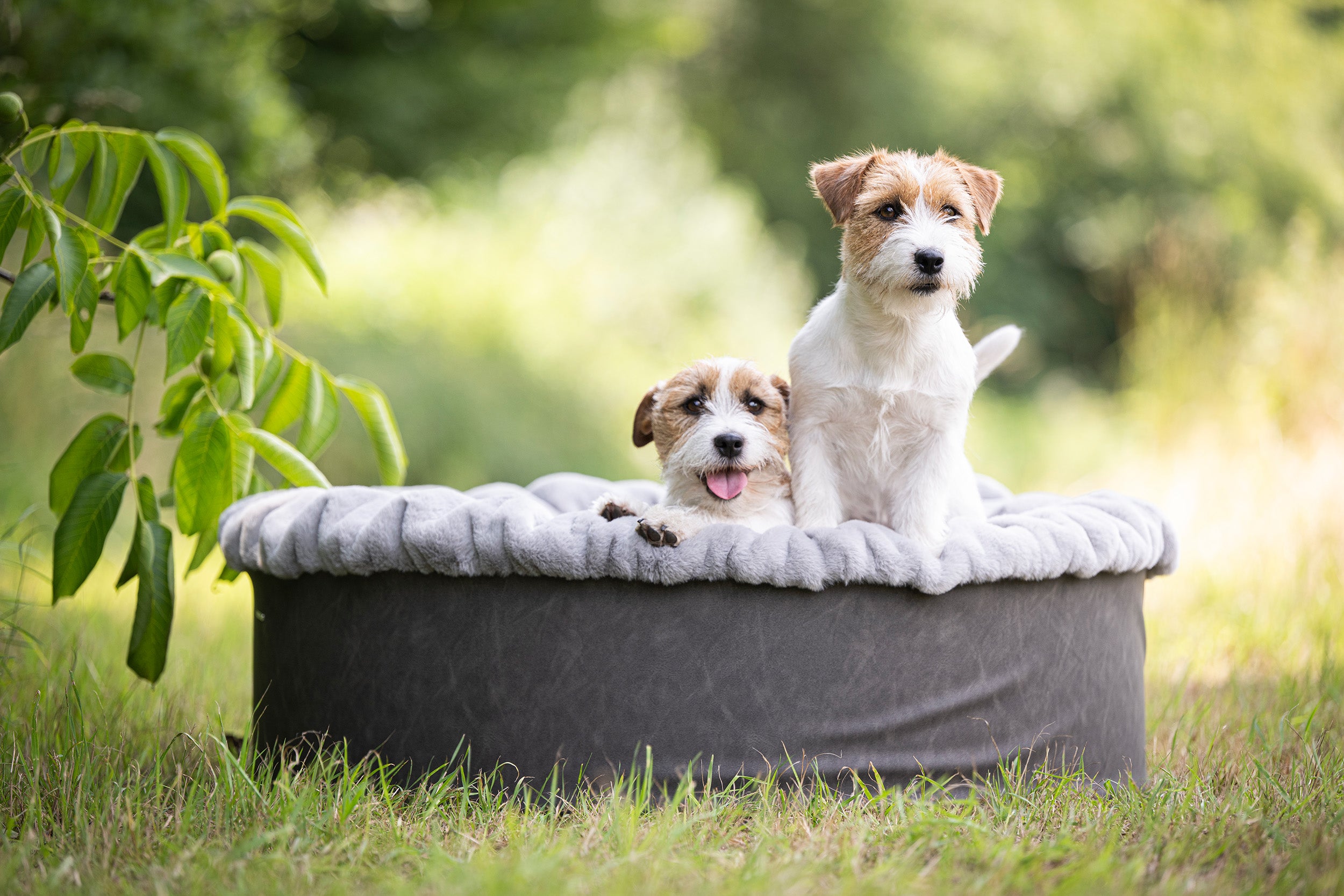 Hundebett Buddelnest®