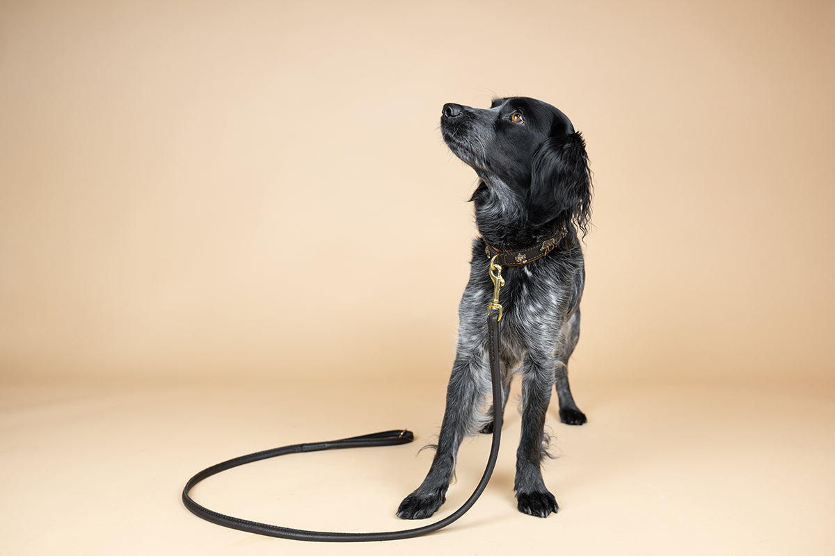 Halsband Wilder Kaiser