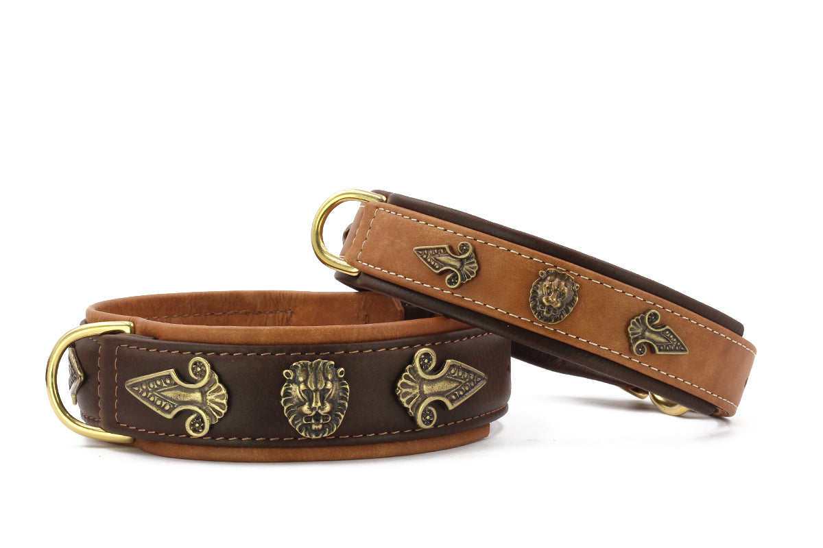 Halsband Lion