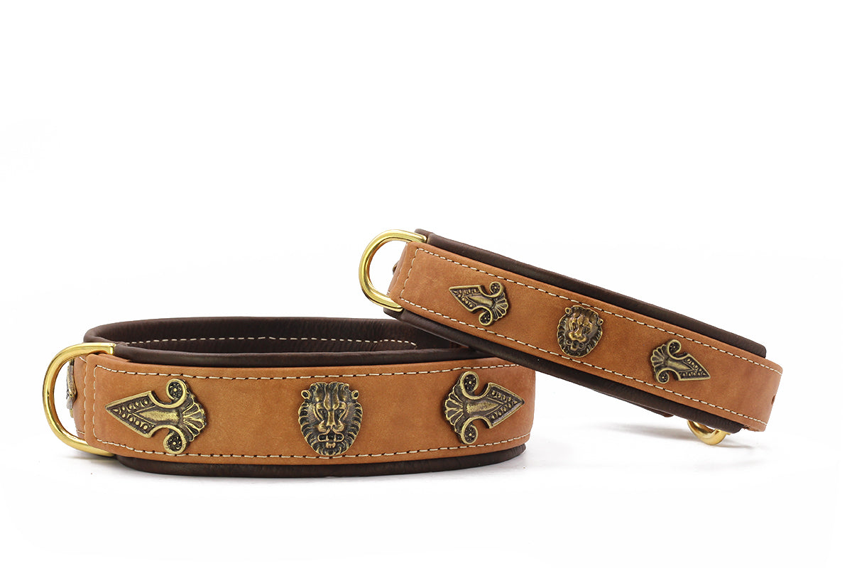 Halsband Lion