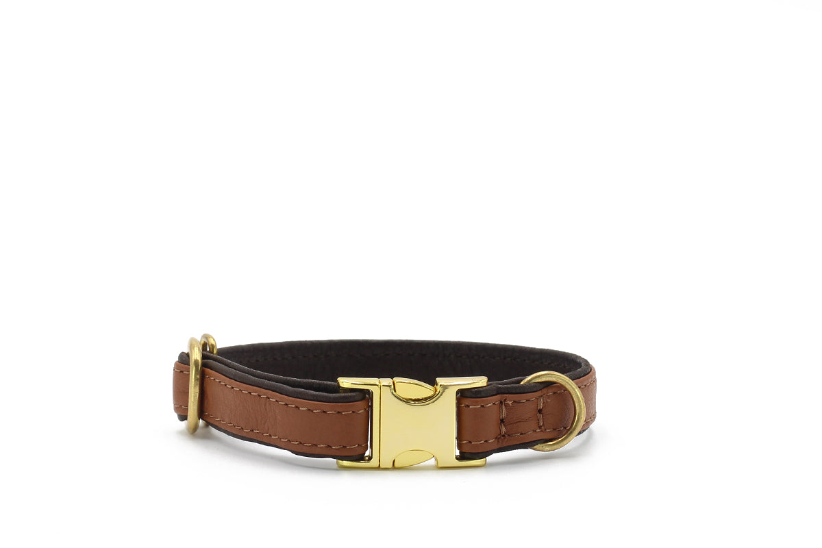 Halsband Mini Klassik Klick