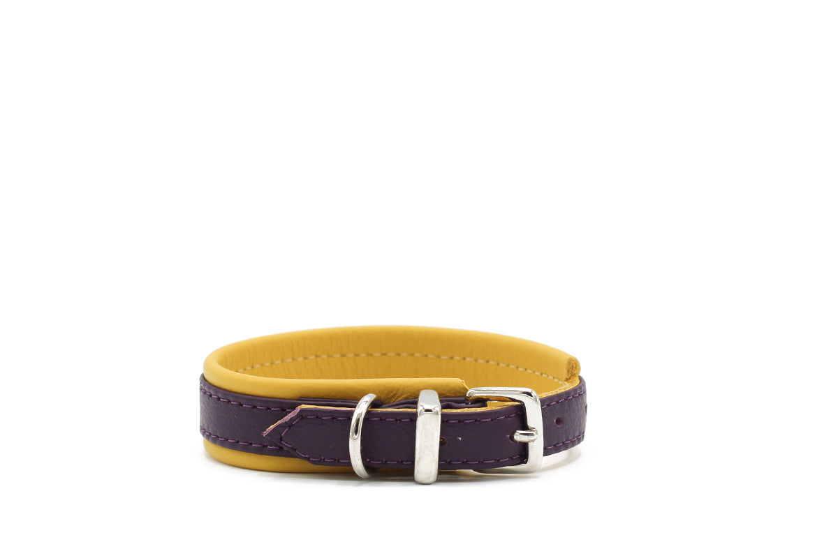 Halsband Spring Break