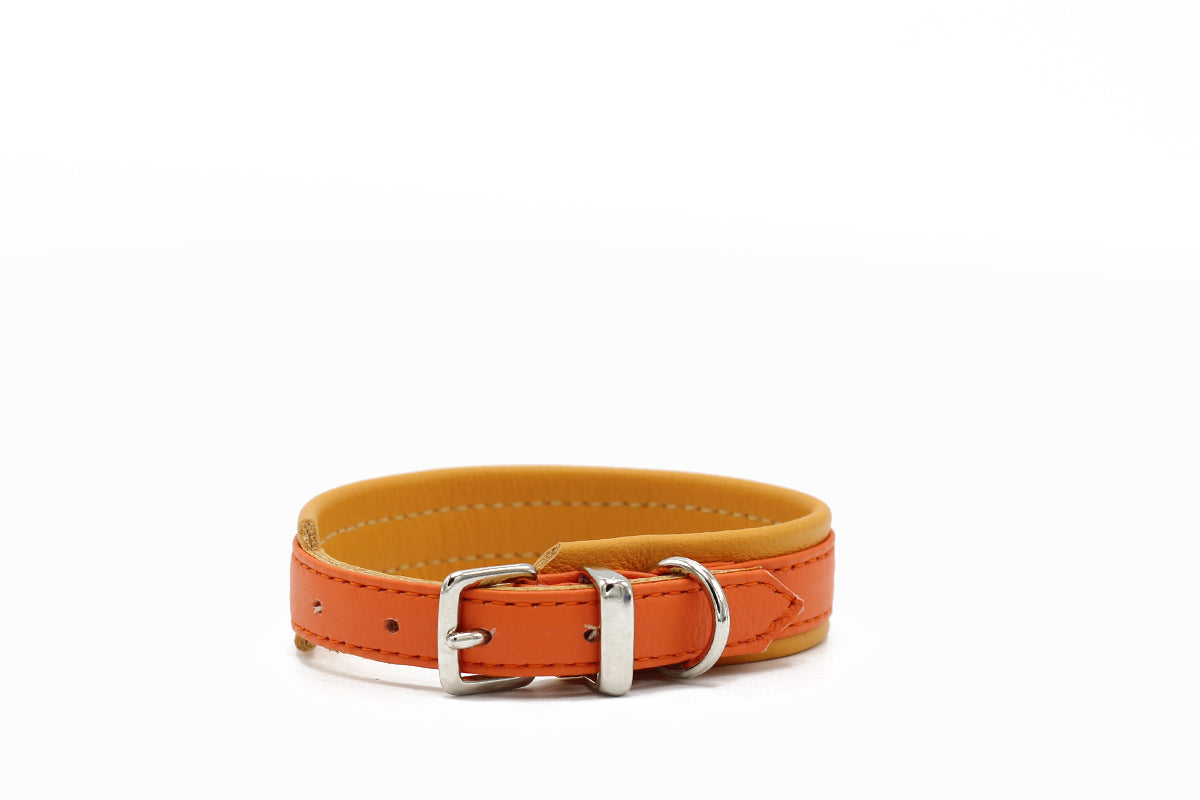 Halsband Spring Break Mini orange