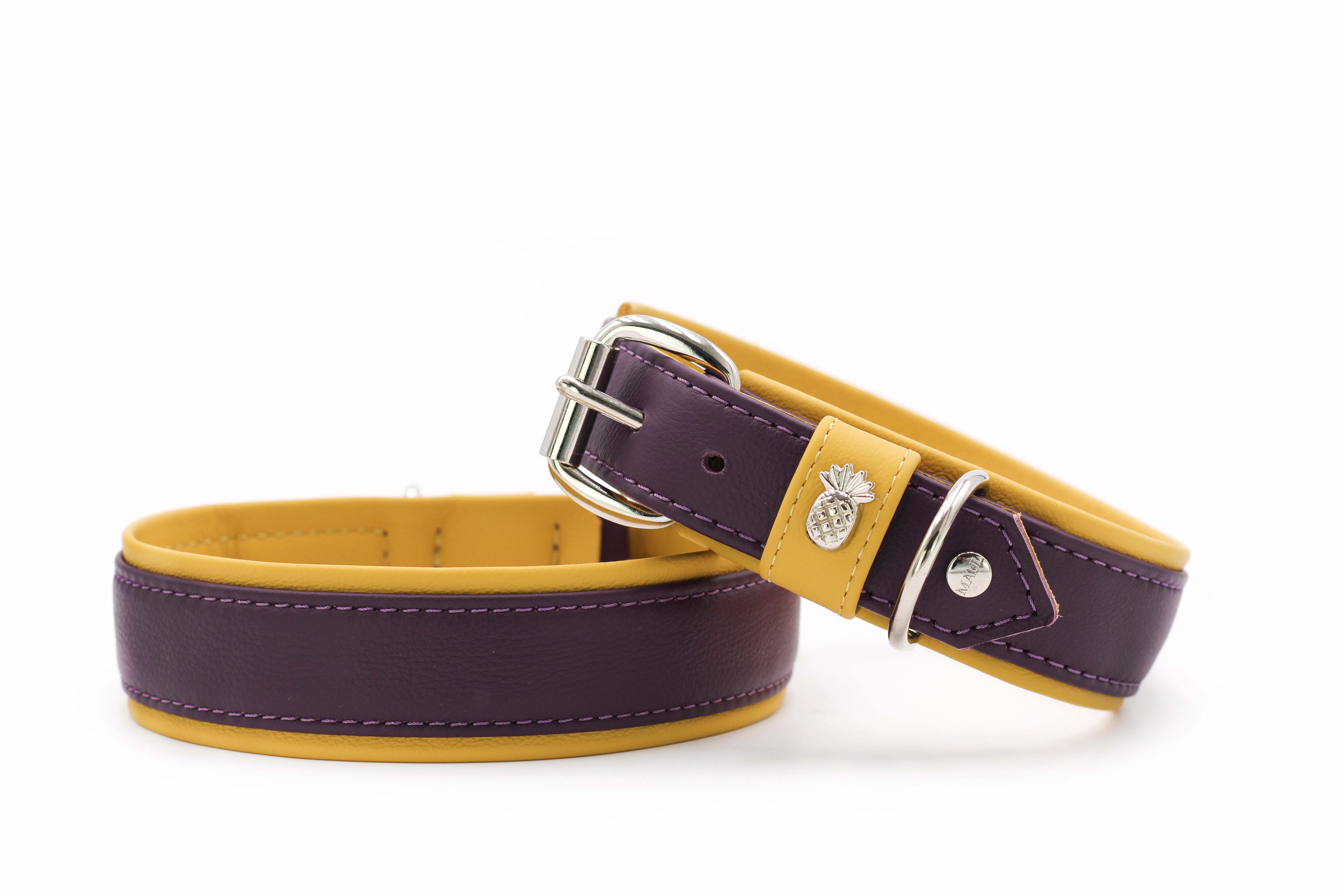 Halsband Spring Break