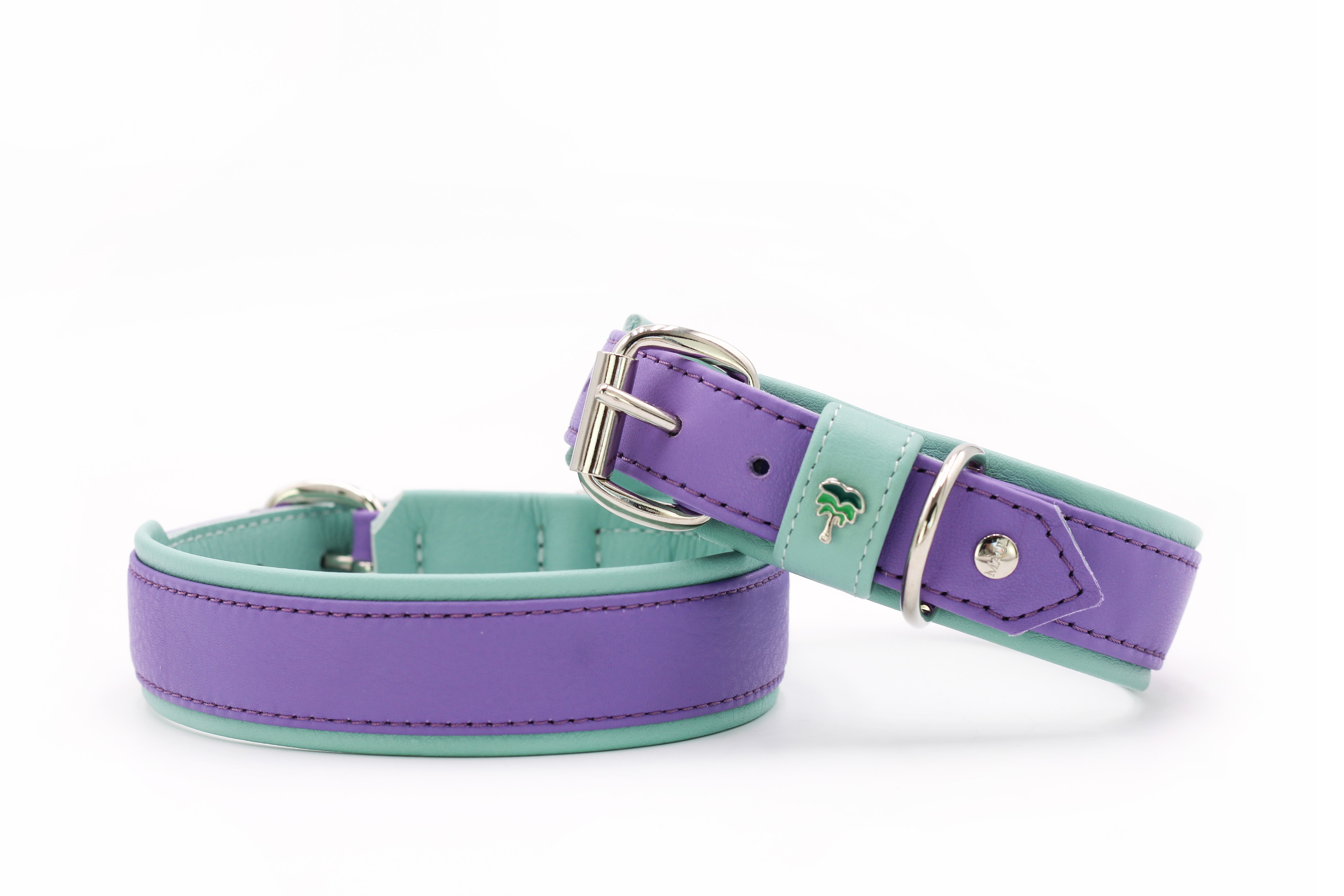 Halsband Spring Break