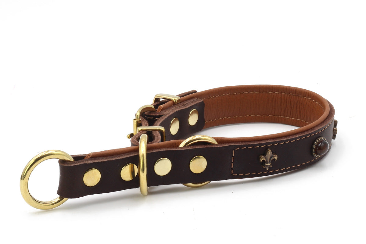 Zugstopp Halsband San Francisco