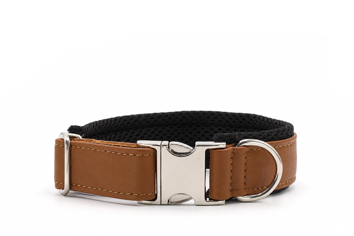Halsband Active