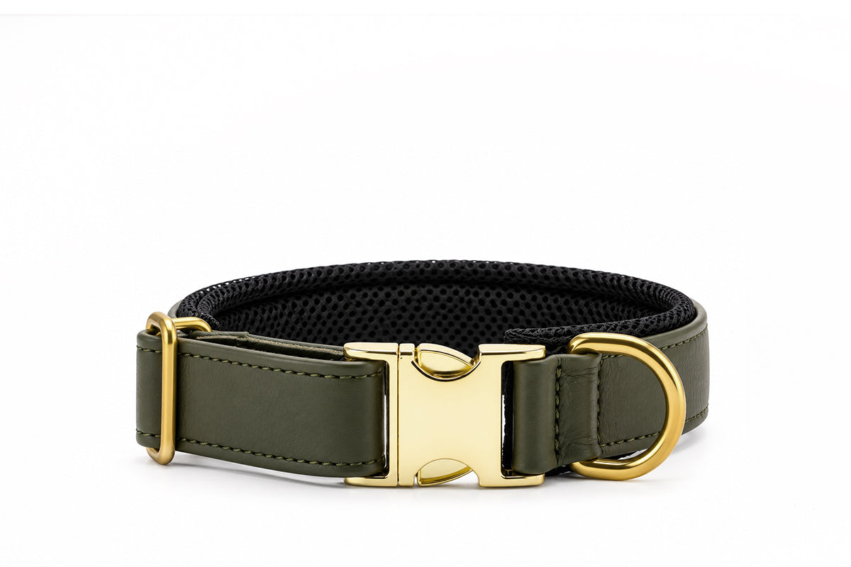 Halsband Active