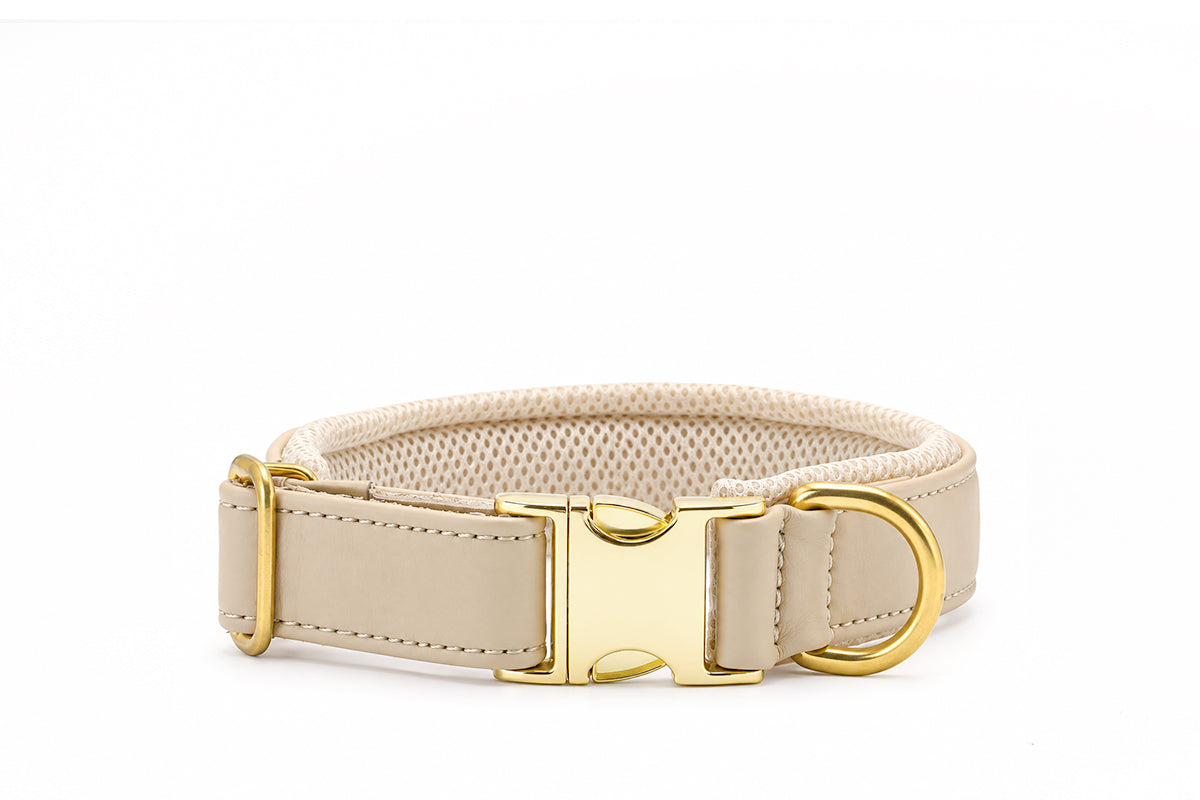 Halsband Active