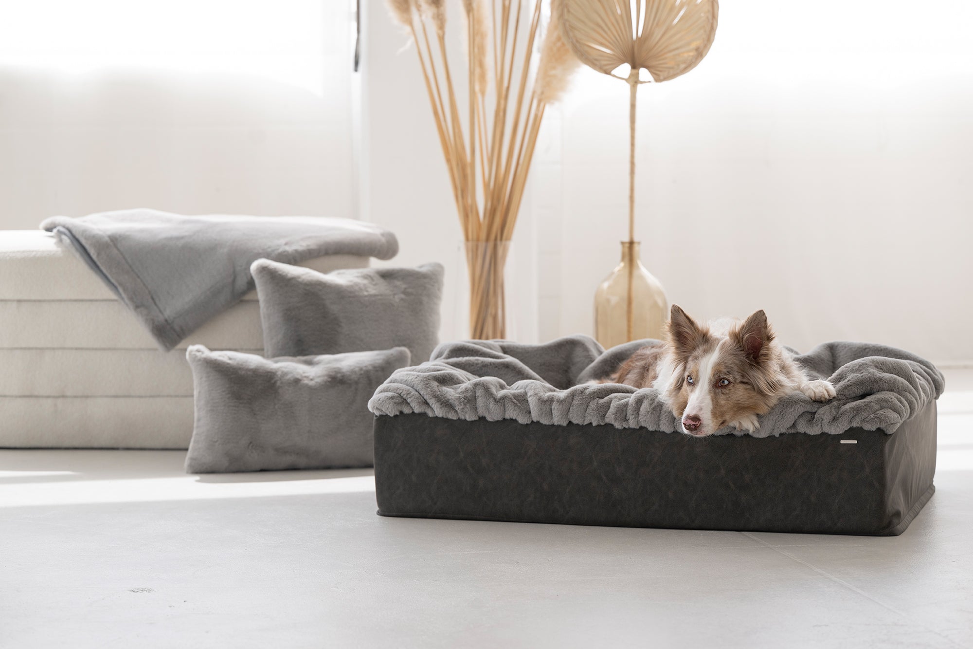 Hundebetten