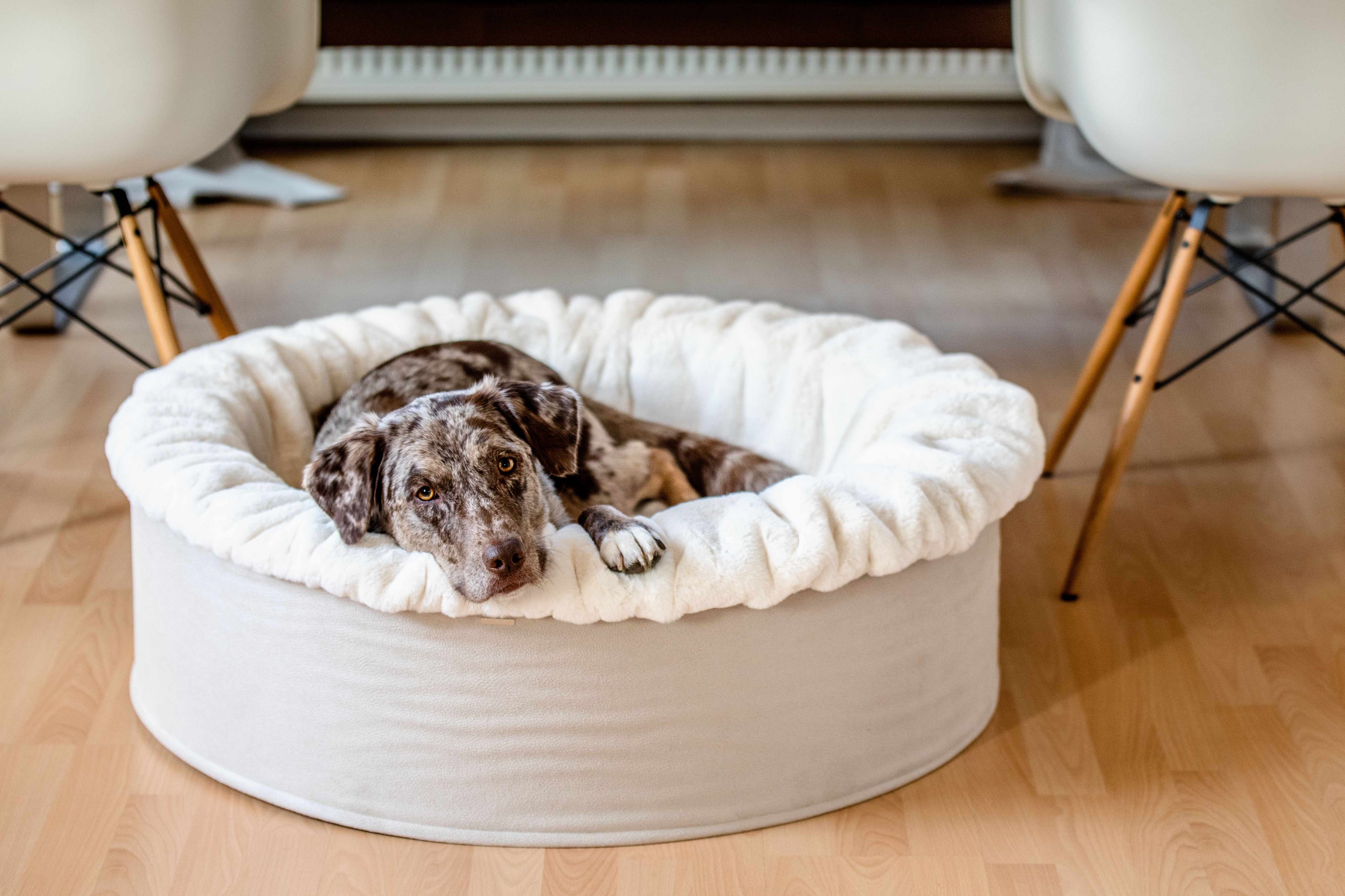 Ersatzbezüge für Hundebetten