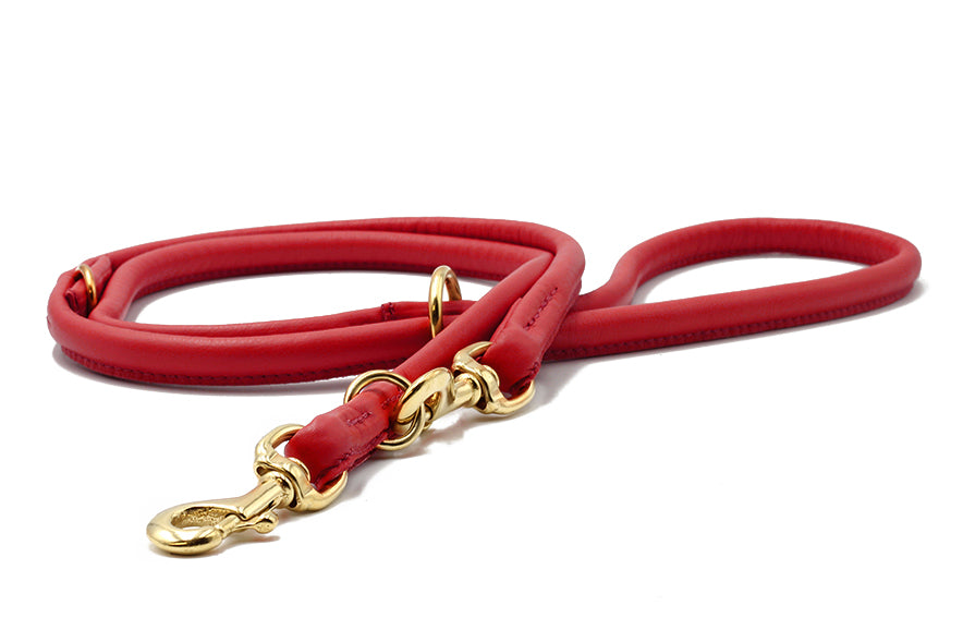 Lederleine X-Mas Gold