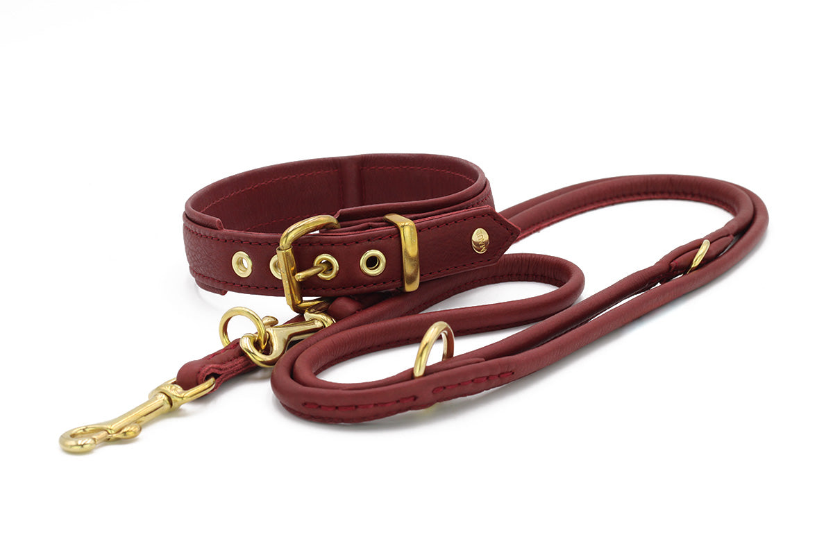 Halsband Klassik Exklusiv