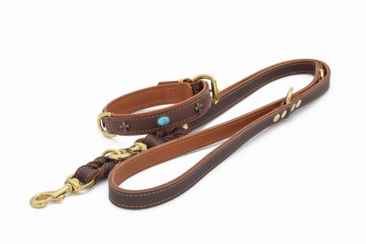 Halsband San Francisco