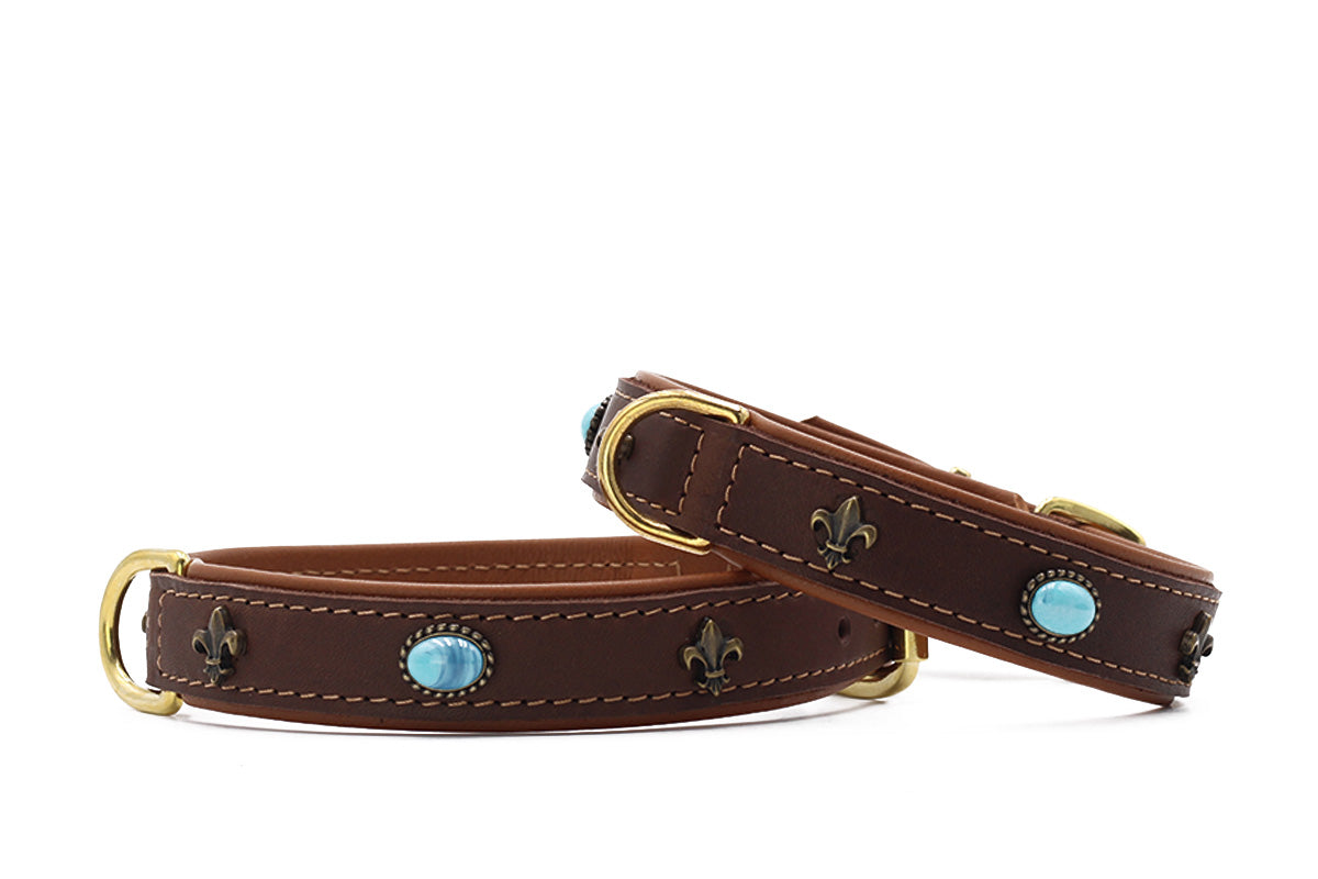 Halsband San Francisco