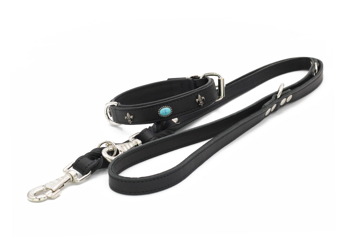 Halsband San Francisco