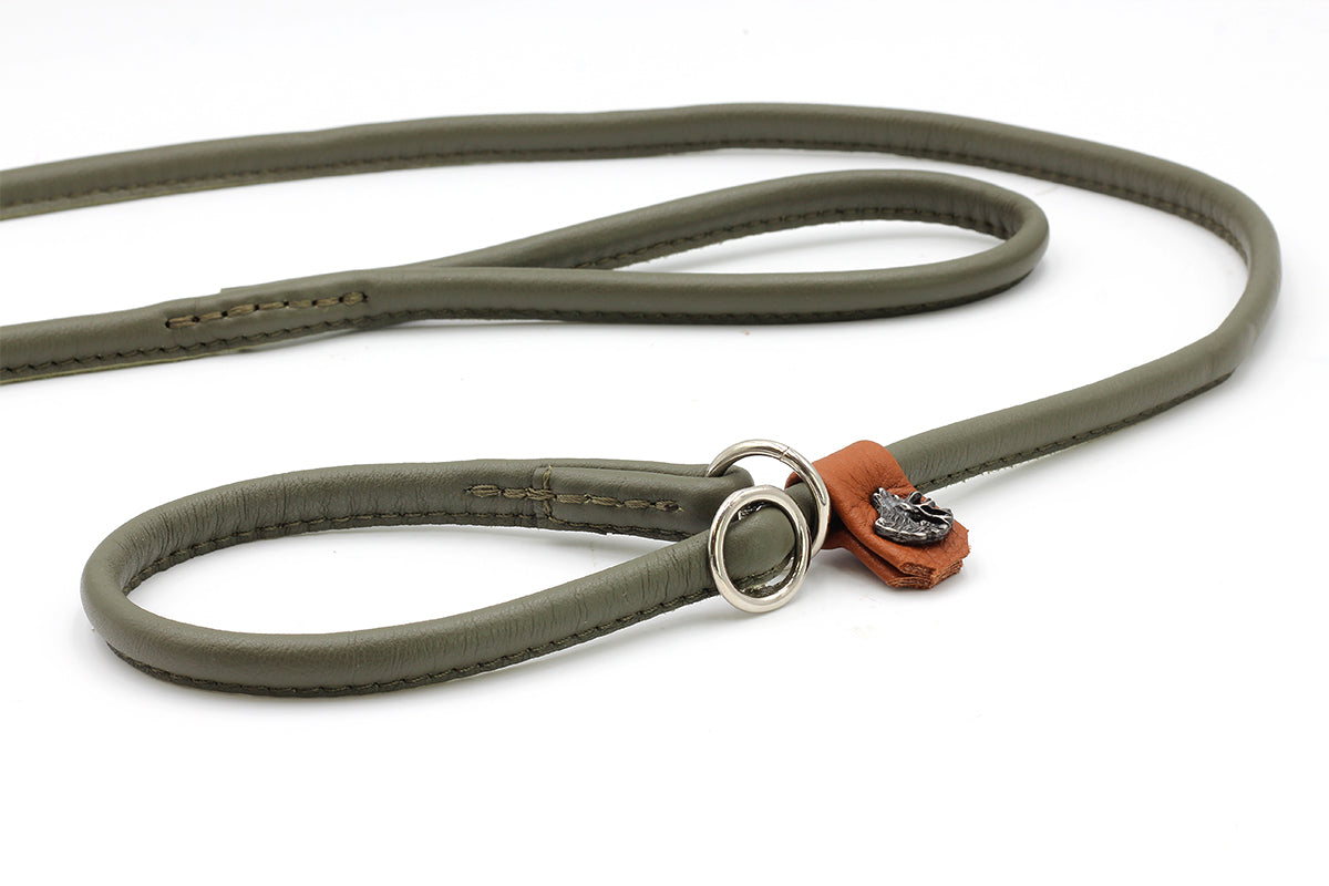 Retrieverleine Jagdglück