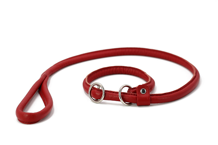 Retriever - Leine Rot